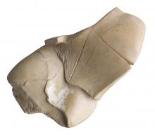 Dama rescatada