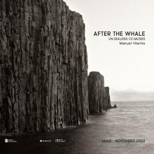 After the whale