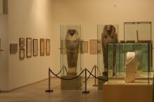 Exposición