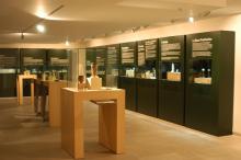 Exposición