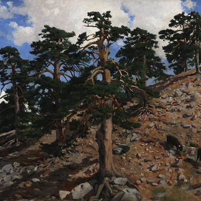 Puerto de la Fuenfría