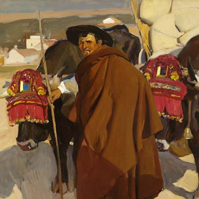 sorolla