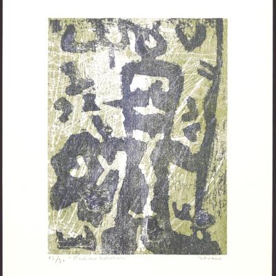 Hechicero batallador - 5057